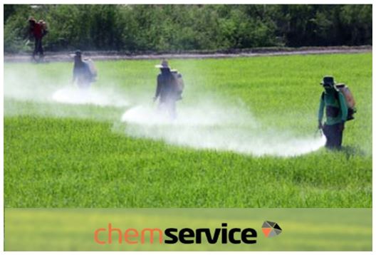 Farmers spraying crops in field IMAGE